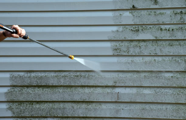 Best Gutter Cleaning  in Mountain View, AR